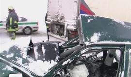 Vilkikas sumaitojo lengvąjį automobilį