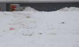 Tirpstančiame sniege - šiukšlių klodai