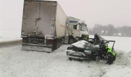 Vilkikas sumaitojo lengvąjį automobilį