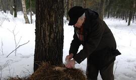 Klaipėdiečiai miško žvėreliams nešė maistą