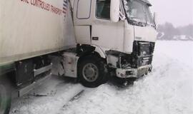 Vilkikas sumaitojo lengvąjį automobilį