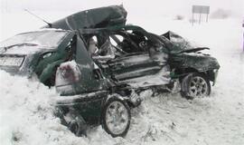 Vilkikas sumaitojo lengvąjį automobilį