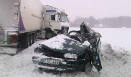 Vilkikas sumaitojo lengvąjį automobilį