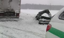 Vilkikas sumaitojo lengvąjį automobilį