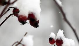 Sausio 27-oji: vardadieniai, dangaus kūnai, istorija