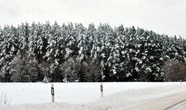 Sausio 4-oji: vardadieniai, dangaus kūnai, istorija