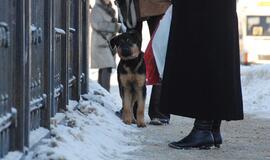 Sausio 7-oji: vardadieniai, dangaus kūnai, istorija