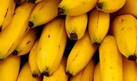 Vienoje Panevėžio parduotuvių užderėjo 57 bananai