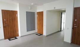 Vilniuje ir Rygoje butai brango, Taline - pigo