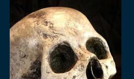 Alytuje rasta žmogaus kaukolė