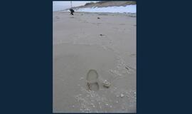 Baltijos pakrantėje ties Nida - baltos spalvos teršalai