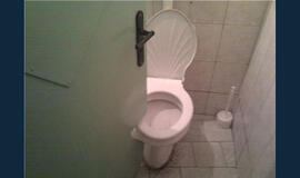 Bulvaras: tikėk - netikėk