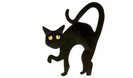 Kaip apsisaugoti nuo blogos akies?