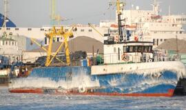 Klaipėda: VE.lt pristato vasario 19 dienos įvykius