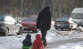 Palangoje - stintų ir ruonių šventė