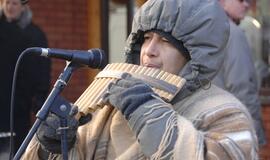 Palangoje - stintų ir ruonių šventė