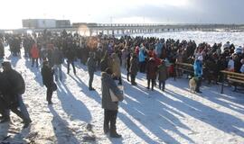 Palangoje - stintų ir ruonių šventė