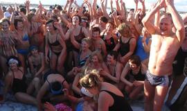 Palangoje - stintų ir ruonių šventė