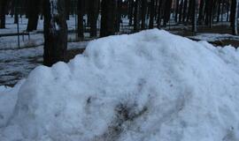 Neringoje vyko žiemos sporto ir sveikatingumo šventė