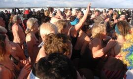 Palangoje - stintų ir ruonių šventė