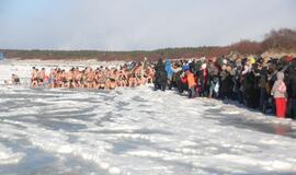 Palangoje - stintų ir ruonių šventė