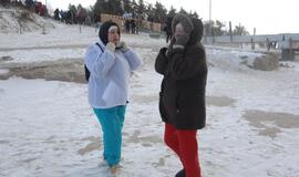 Palangoje - stintų ir ruonių šventė