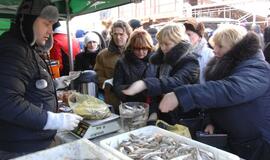 Palangoje - stintų ir ruonių šventė