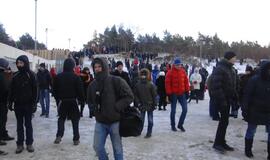 Palangoje - stintų ir ruonių šventė