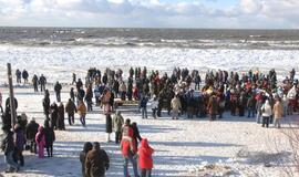 Palangoje - stintų ir ruonių šventė