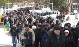 Palangoje - stintų ir ruonių šventė