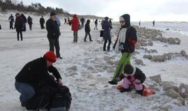 Palangoje - stintų ir ruonių šventė