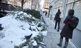 Niujorkas. Betoninė svajonė