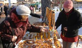 Palangoje - stintų ir ruonių šventė