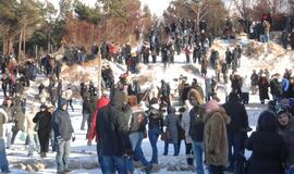 Palangoje - stintų ir ruonių šventė