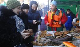 Palangoje - stintų ir ruonių šventė