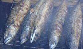 Palangoje - stintų ir ruonių šventė