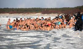 Palangoje - stintų ir ruonių šventė