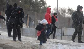 Palangoje - stintų ir ruonių šventė