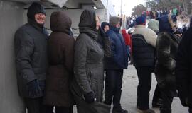 Palangoje - stintų ir ruonių šventė