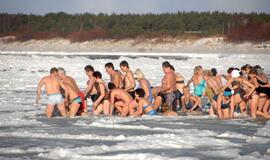 Palangoje - stintų ir ruonių šventė