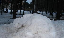 Neringoje vyko žiemos sporto ir sveikatingumo šventė