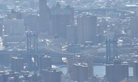 Niujorkas. Betoninė svajonė