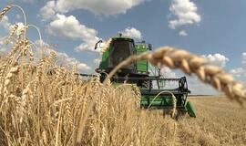 Užsimenama apie pagrindinių maisto produktų kainų šuolį