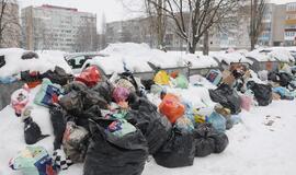 Viltis: kitąmet Klaipėdoje šiukšlės bus pigesnės