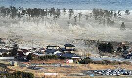 Cunamio bangos Japonijoje aukštis buvo 23,6 metro