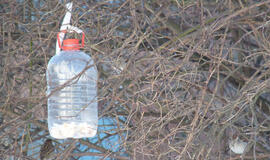 Klaipėda: VE.lt pristato kovo 1 dienos įvykius