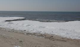 Klaipėda: VE.lt pristato kovo 10-osios įvykius