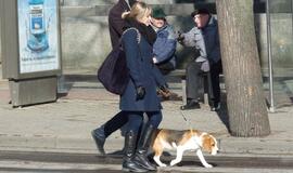 Klaipėda: VE.lt pristato kovo 12-osios įvykius