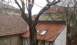 Klaipėda: VE.lt pristato kovo 29-osios įvykius