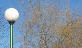 Klaipėda: VE.lt pristato kovo 7-osios įvykius